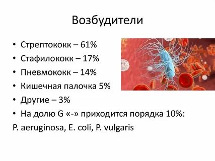 Возбудители сепсиса
