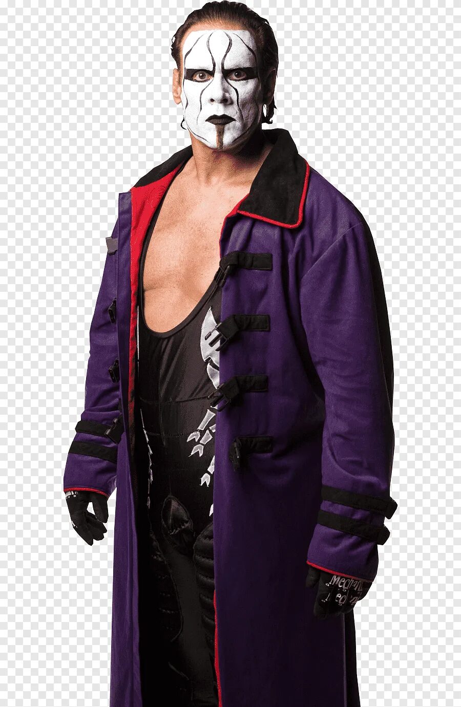 Как сделать стинг из бумаги. Sting рестлер. стинг wwe. стинг рестлер фото. стинг из wwe.