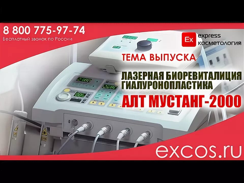 Алт мустанг. Алт мустанг. Алт мустанг. Алт мустанг. Алт мустанг.