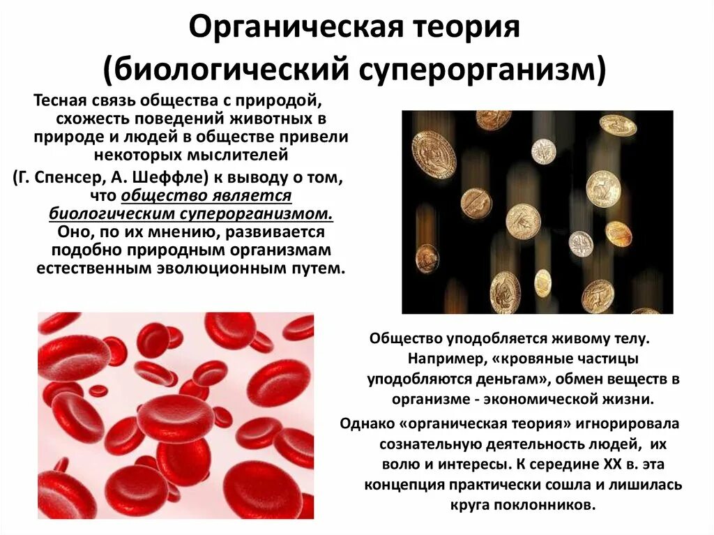 Теория органического развития. Органическая теория. Шеффле органическая теория. Органическая теория кратко. Органическая теория государства.