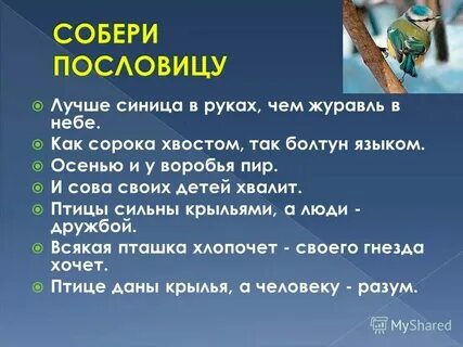 Сильна крыльями а человек дружбой