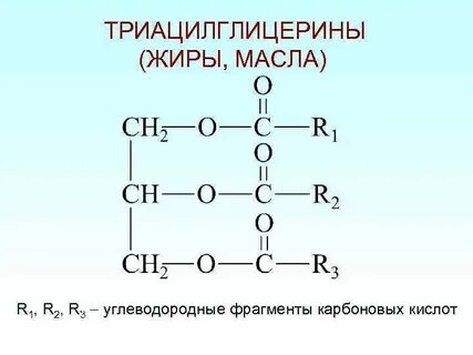 Жиры масла воски