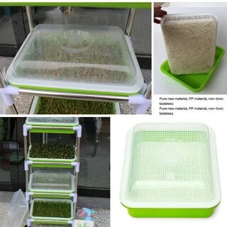 Лотки для микрозелени оптом