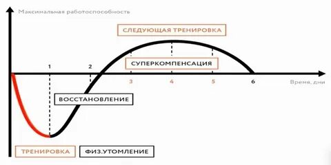Физиологическая основа принципа суперкомпенсации