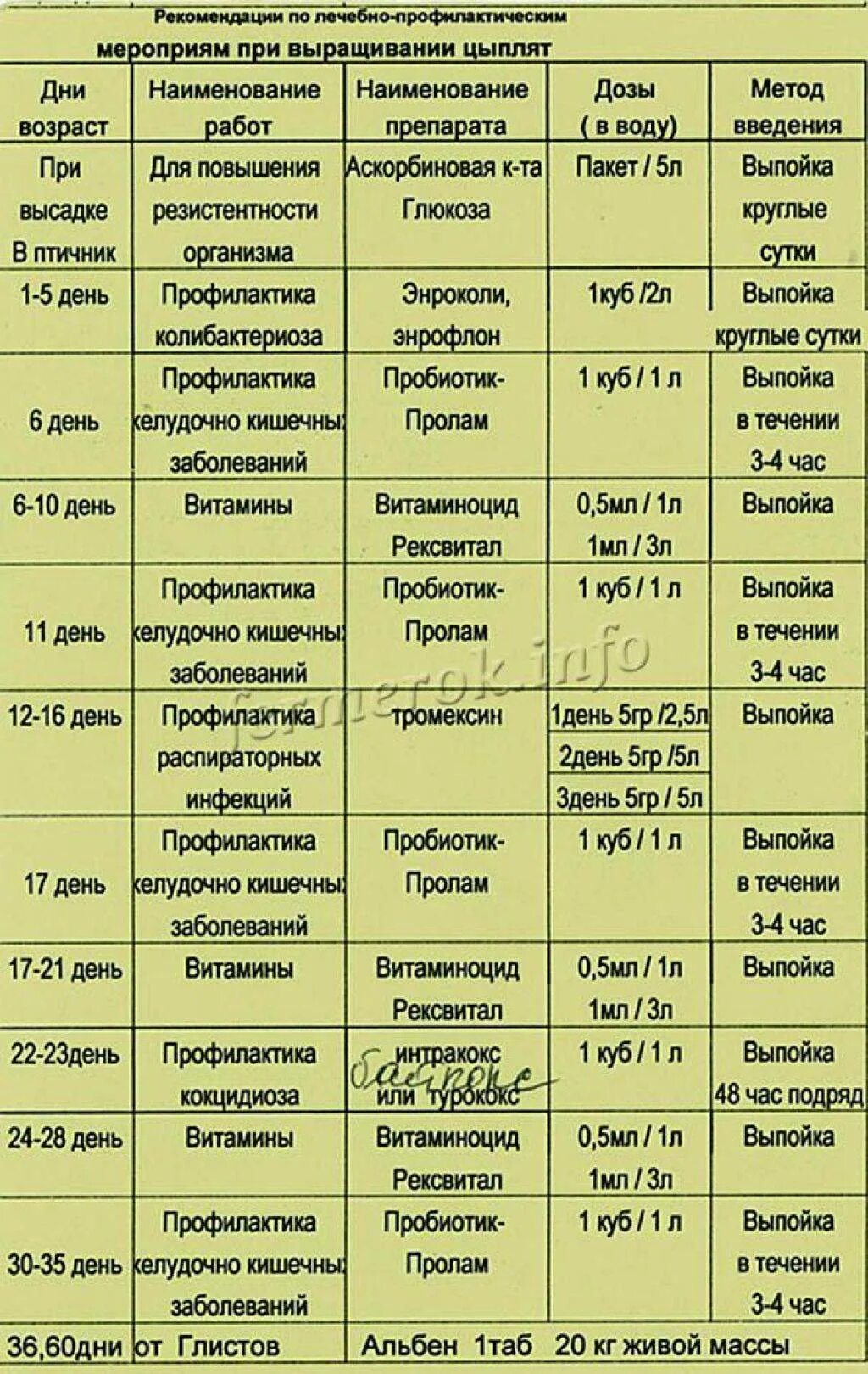 Чем поить цыплят в первые. Схема пропойки цыплят бройлеров с первых дней. Схема выпаивания цыплят бройлеров. Схема выпаивания цыплят бройлеров антибиотиками. Схема пропойки суточных цыплят бройлеров.