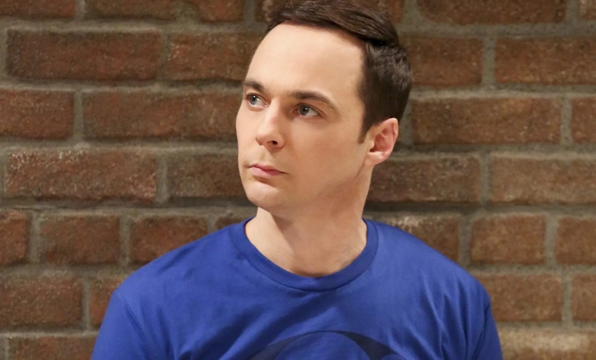 Джим парсонс теория. Джим парсонс теория большого взрыва. Джим парсонс. Шелдон купер теория большого взрыва. Доктор шелдон купер.