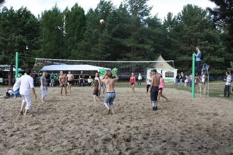 Бердск зеленые