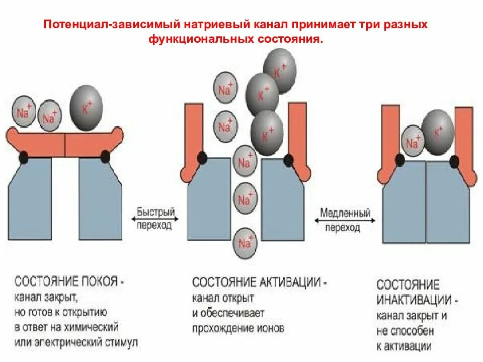 Состояние в системе в разных
