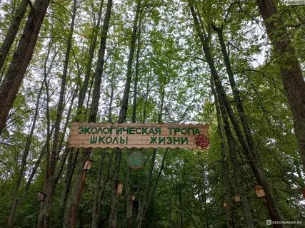 Экотропа школа жизни