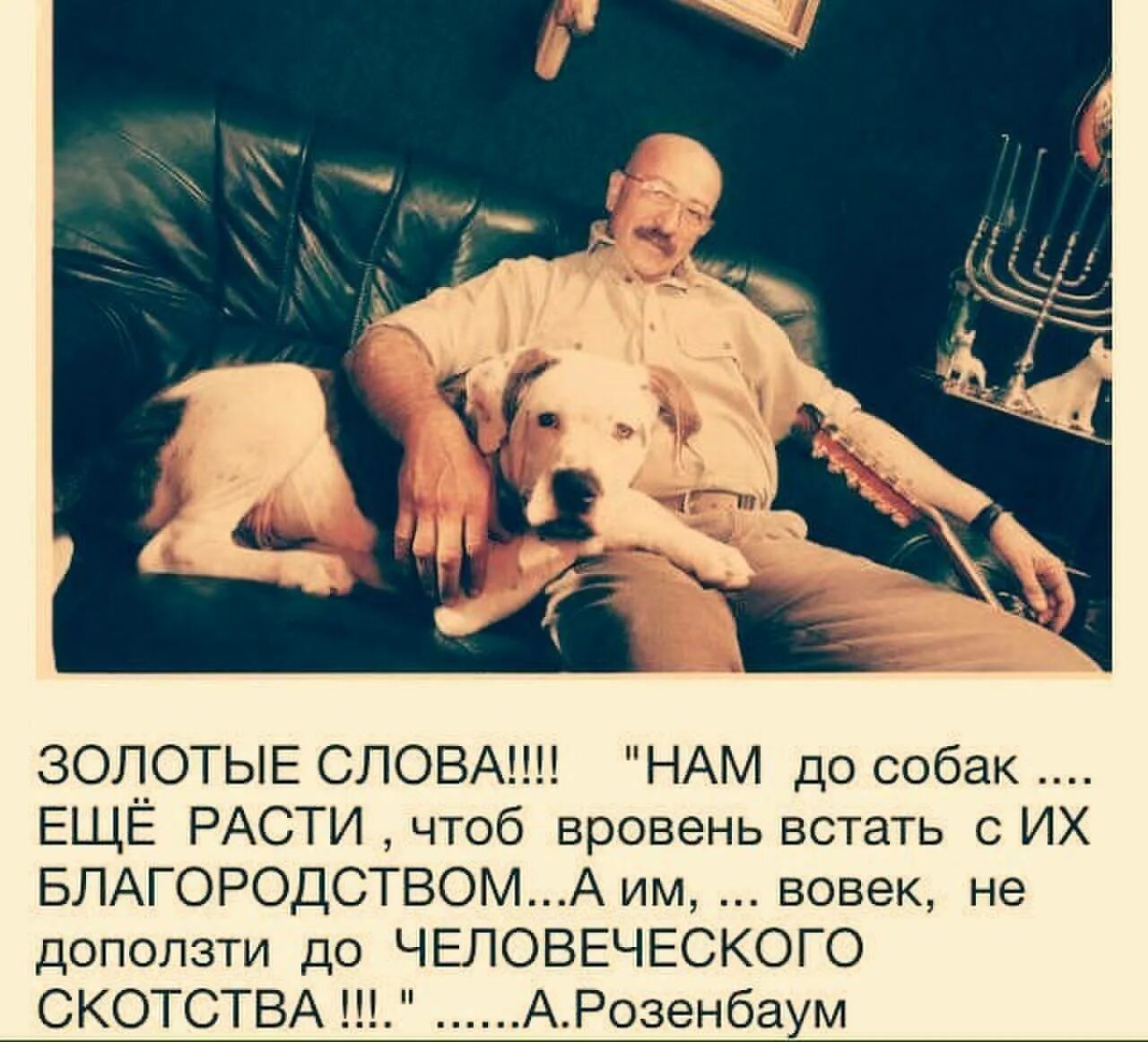 Высказываниямо собаках. Собаки лучше людей цитаты. Цитаты о собаках красивые. Цитаты про собак. Высоцкий с собакой.