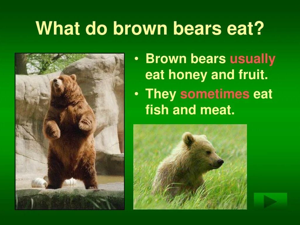Well done bear
