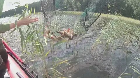 Жизнь в приволжской деревне дзен последнее видео