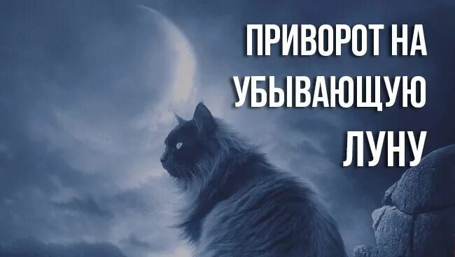 Приворот на убывающую луну. Приворот на убывающей Луне. Приворот бывшего на убывающую луну. Приворожить на убывающая Луна.