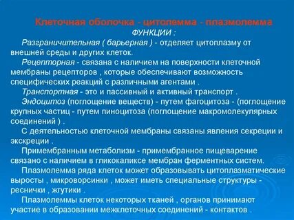 Функции клеток барьерных тканей