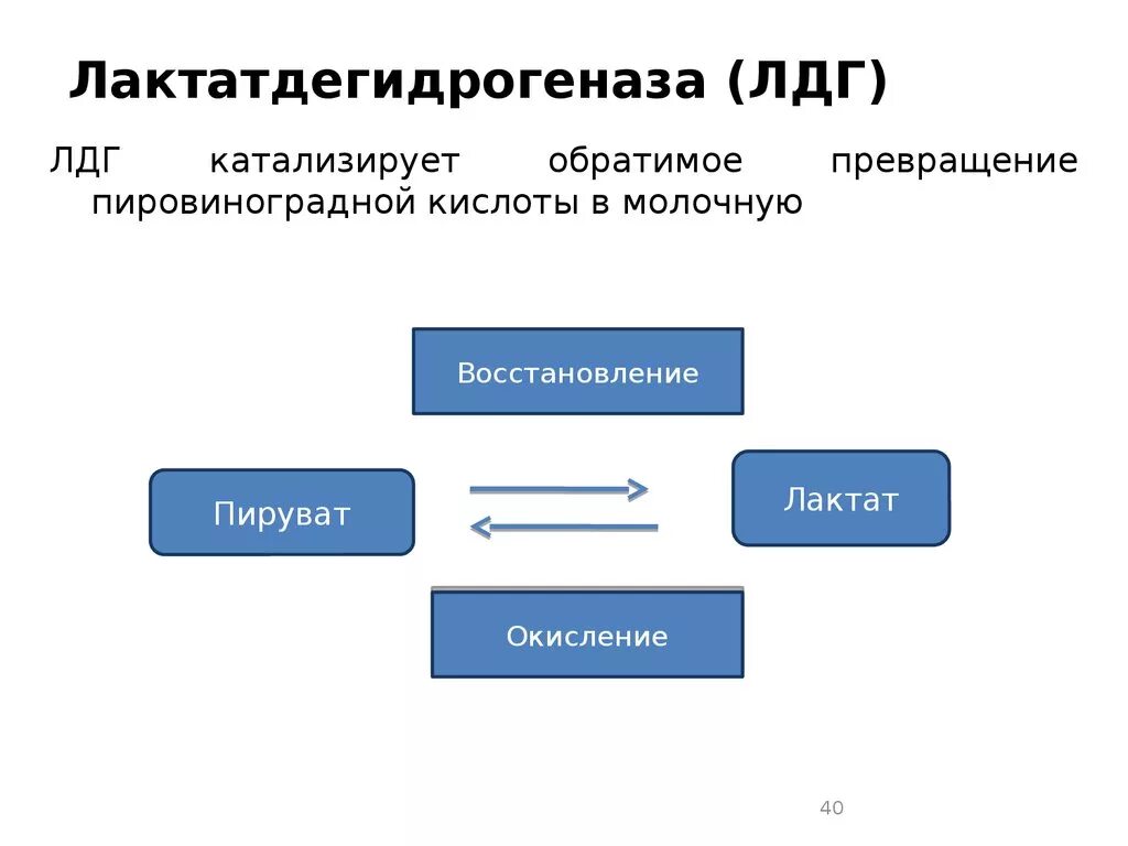 Фермент лдг. Лактатдегидрогеназа катализирует превращение. ЛДГ строение. Лактатдегидрогеназа структура. ЛДГ катализирует.