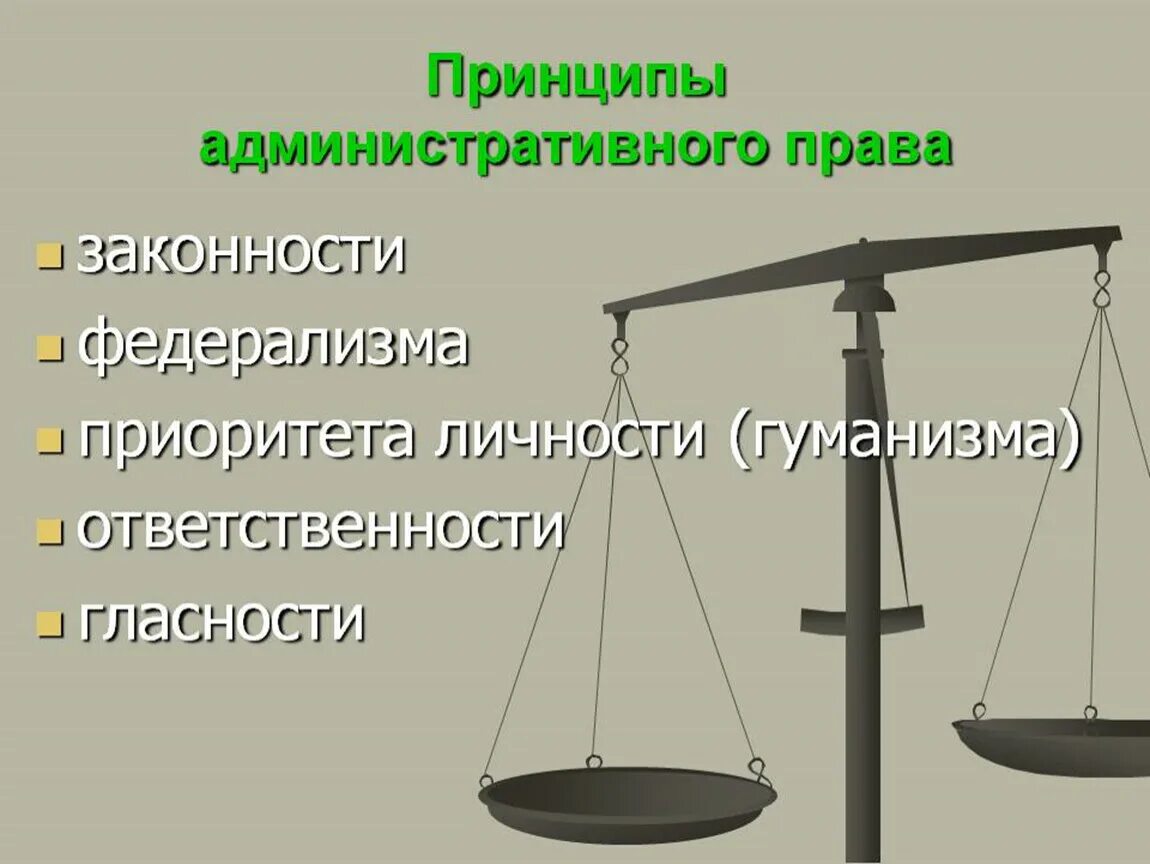 Публичная власть в административном праве. Административное право.