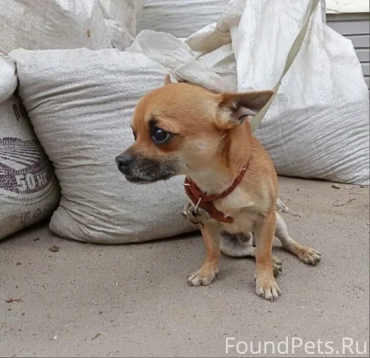 Работа найдись картинки. Каджиты стереотипы. Работа найдись пожалуйста. Работа найдись пожалуйста. Работа найдись пожалуйста.