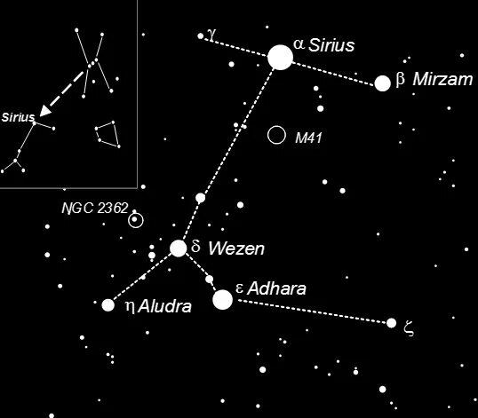 Созвездие большого пса Сириус. Созвездие большого пса на карте звездного неба. Созвездие Орион большой пёс звезда Сириус. Canis Majoris Созвездие. Сириус какой класс