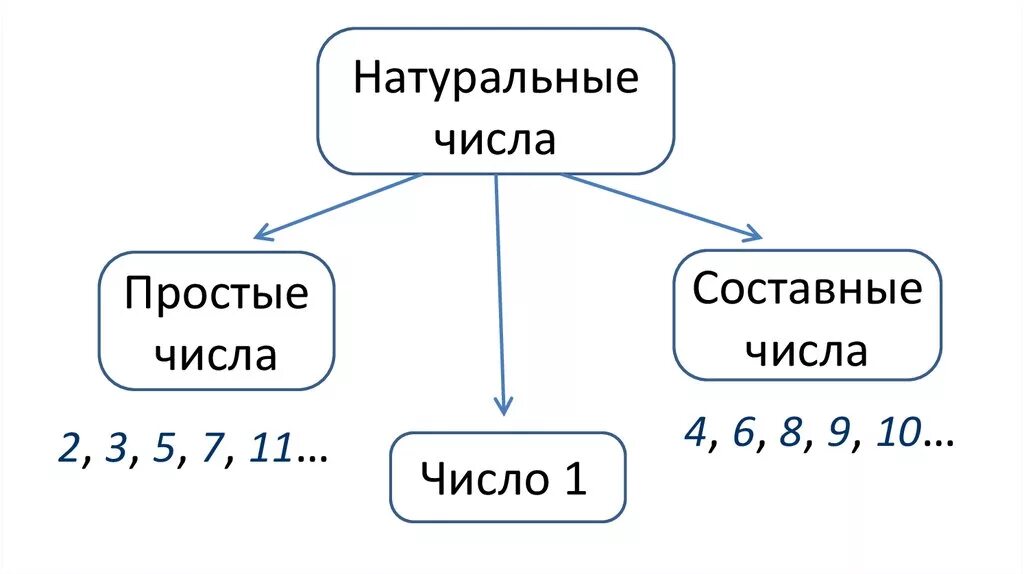 Пятнадцать составное. Простые и составные числа. Простые и составные числа правило. Простые и составные числа схема. Простые и сложные числа.