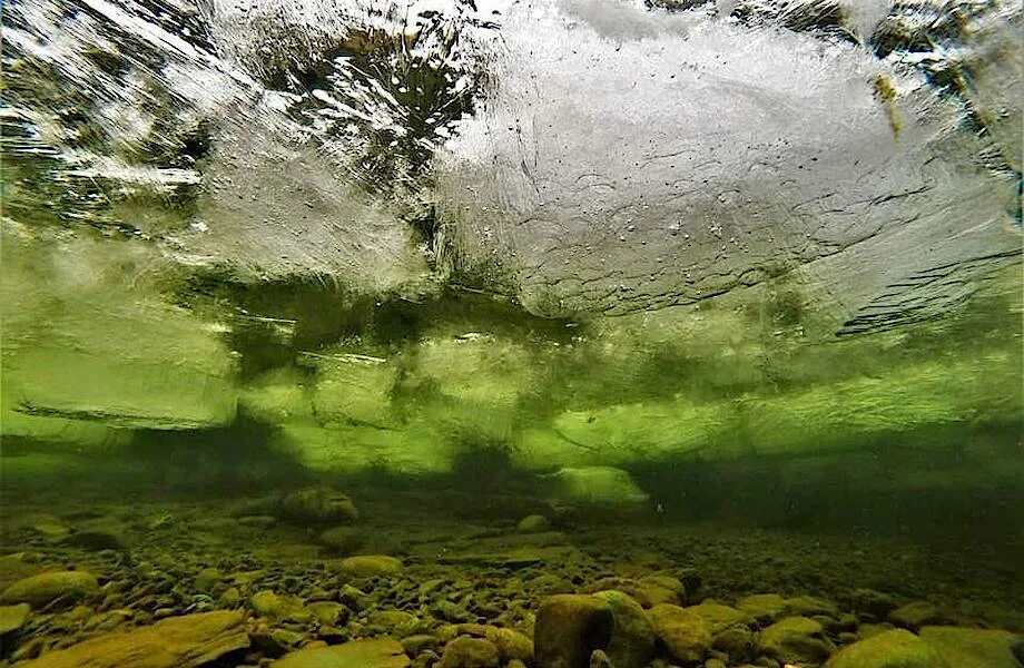 Дно Байкала подо льдом. Озеро под водой. Вода подо льдом. Река под водой зимой. Лед на дне озера