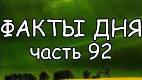 12 фактов