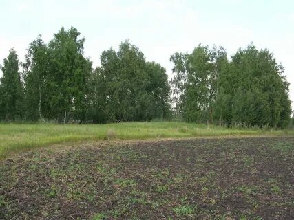 Деревня покровка
