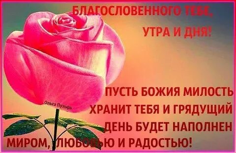 Пусть бог благословит