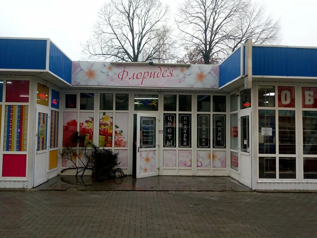 тимашевск весной. тимашевск ул ленина 145. цветы тимашевск. городской сад карасунский краснодар. цветы тимашевск.