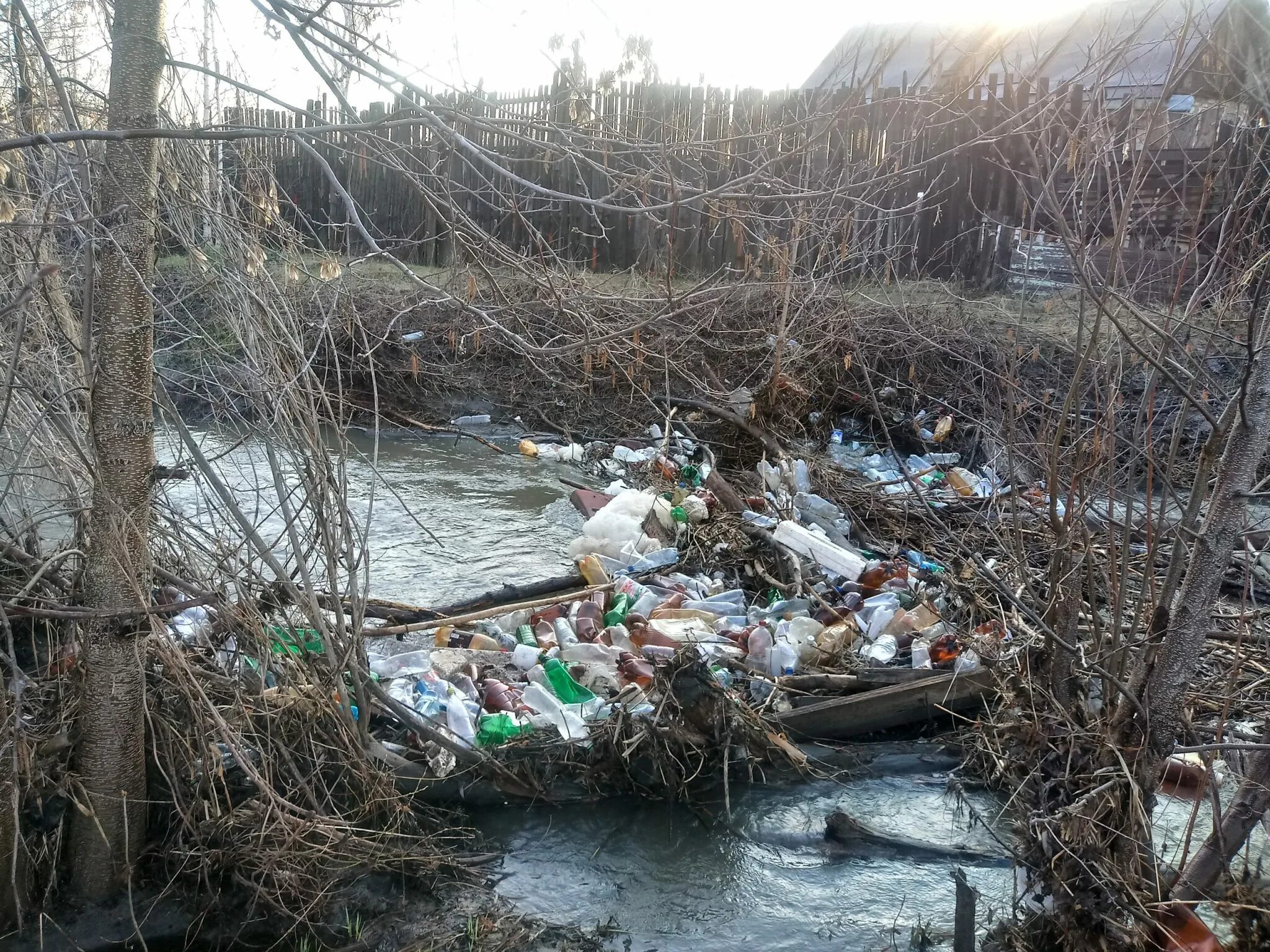 Люди перегородили реку