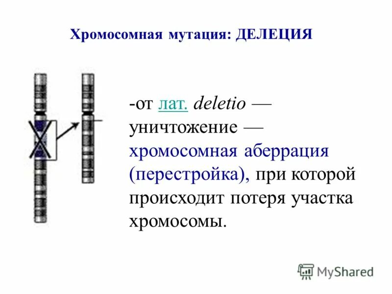 Примеры делеции. Примеры делеции