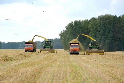 Эконива медынь