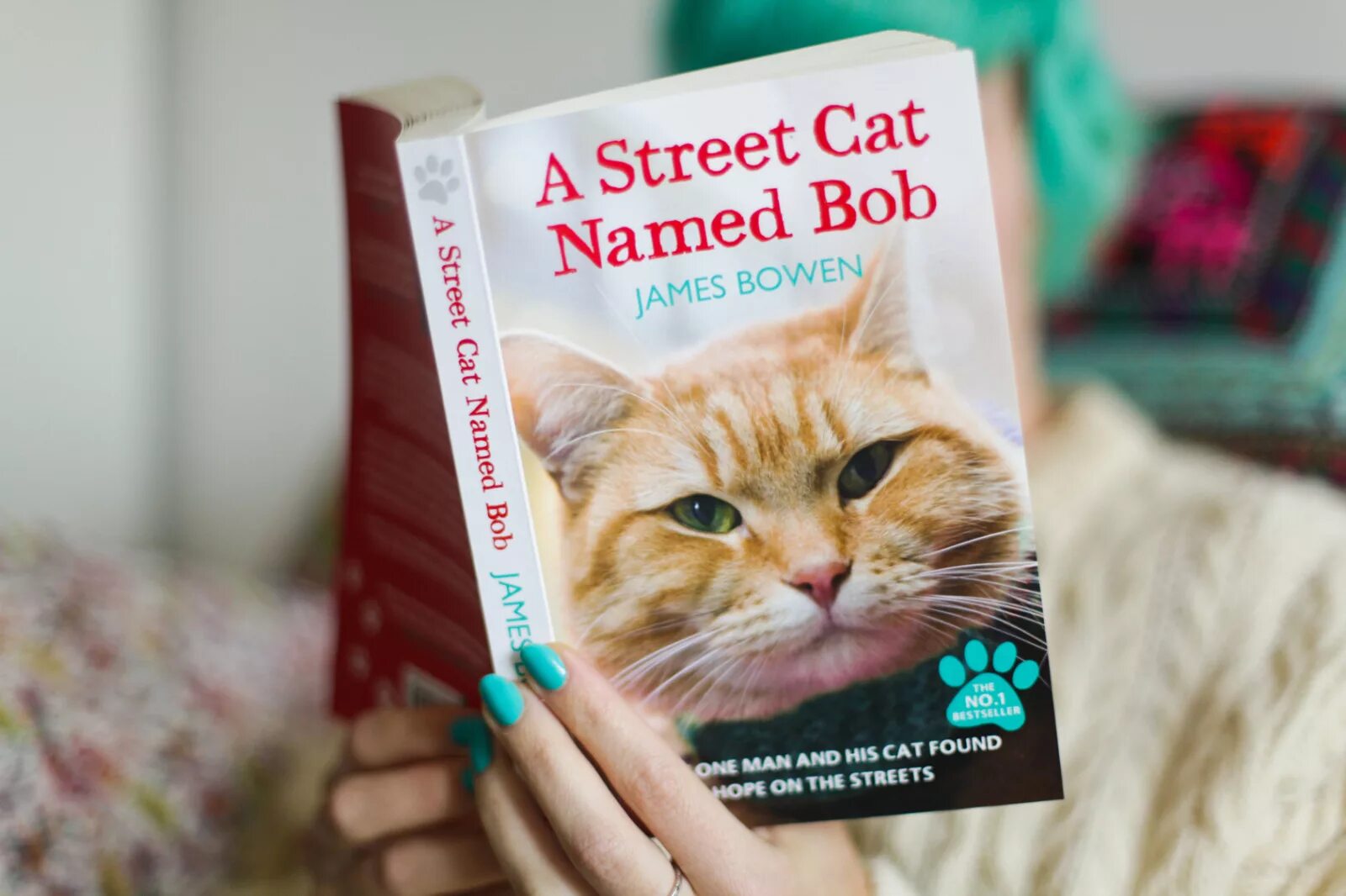 Книга про боба. A Street Cat named Bob книга. Книга про рыжего кота Боба.