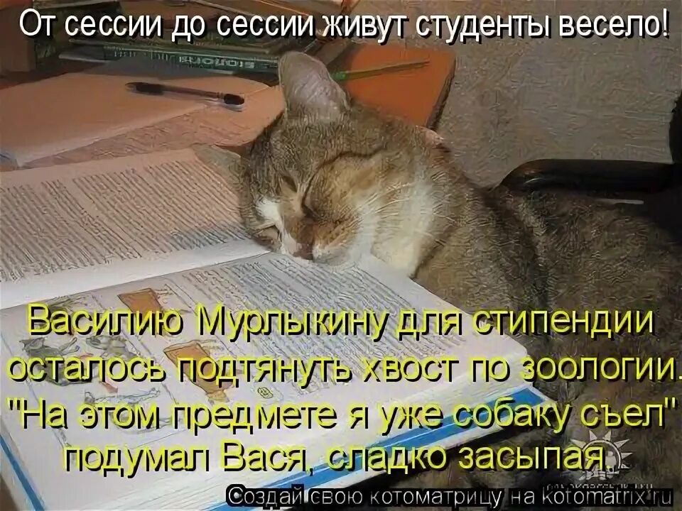 От сессии до сессии живут студенты. От сессии до сессии живут. Открытки от сессии до сессии живут студенты весело. От сессия.