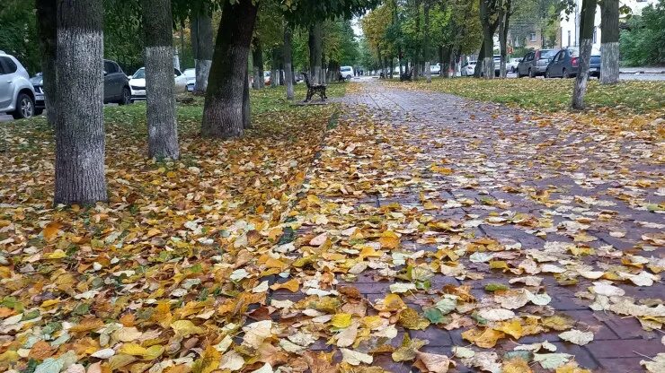 Октябрь в твери фото Погода в Твери сегодня: дожди вернутся на день. Прогноз погоды в Твери на сегодн