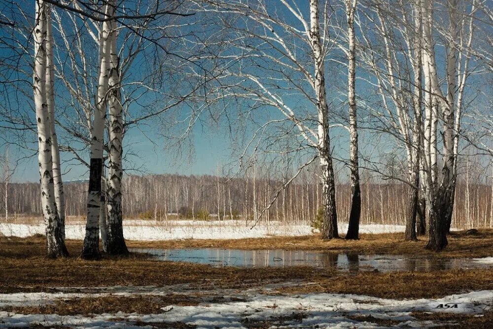 Красивые пейзажи ранней весны.