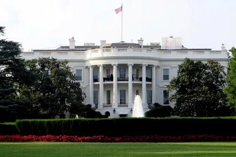 Белый цвет в сша