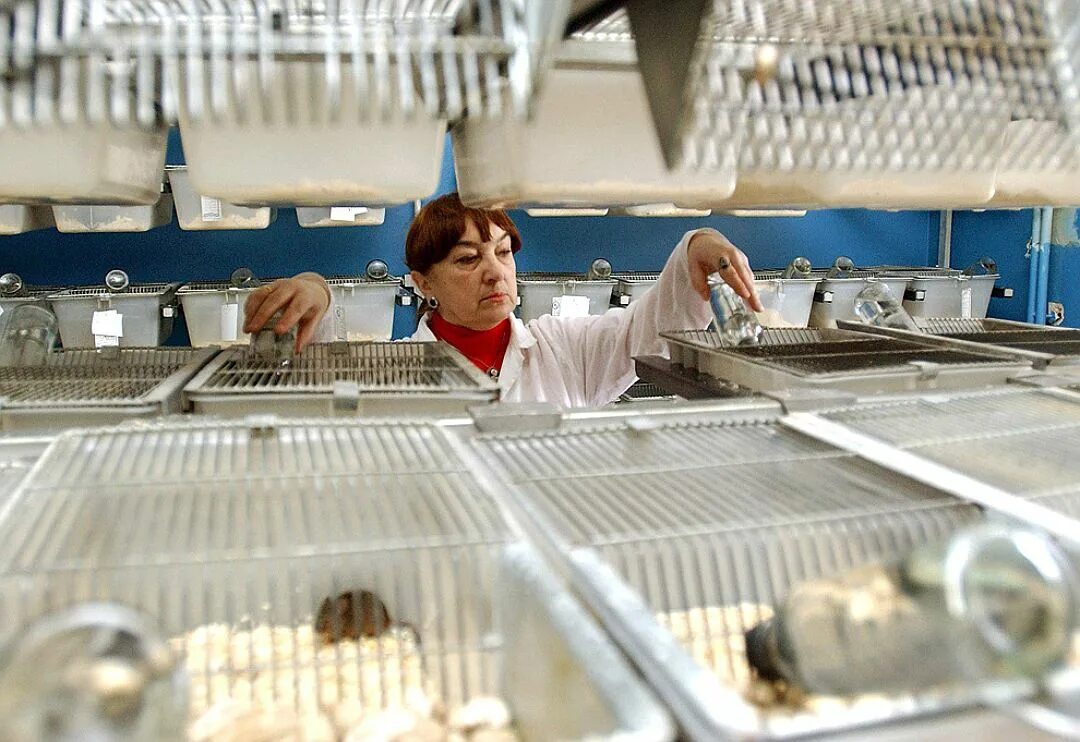 клеточные биомедицинские технологии. ициг со ран новосибирск. институт цитологии спб эмблема. институт цитологии ран. клеточные технологии в фармации.