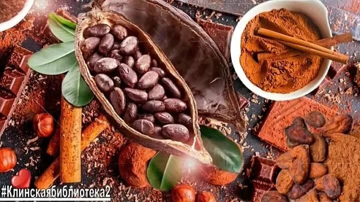 2020 × 8919 Chocolate Class