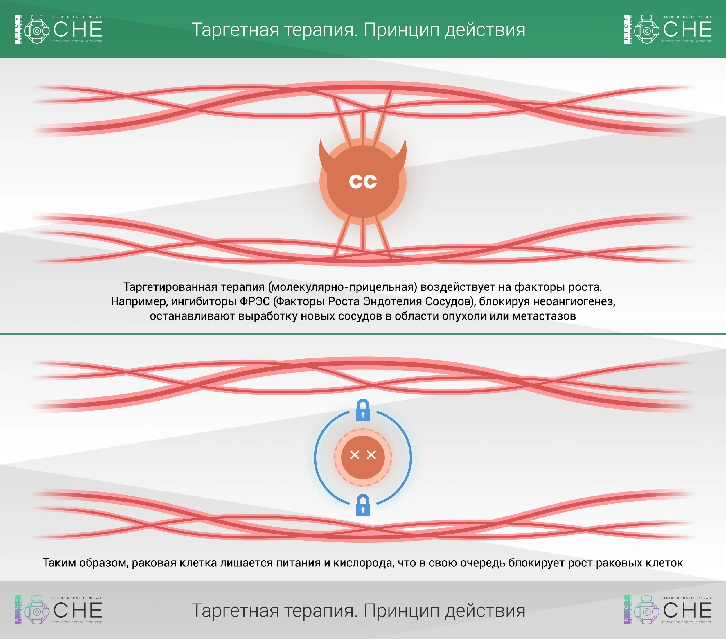 Что такое таргетная терапия в онкологии. Таргетная терапия. таргетная терапия опухолей. таргетная терапия онкологических заболеваний. мишени таргетной терапии.