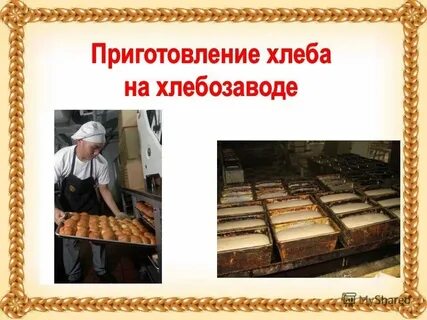 Как люди вырастили хлеб