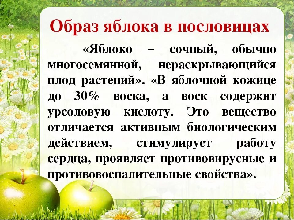 Яблочный спас краткий пересказ. Образ яблока в литературе. Яблоко для презентации. Пословицы о яблоках. Рассказ про яблоко.