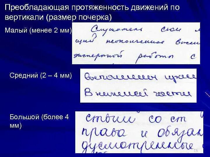 Протяженность движений почерка. Размер почерка. Размер почерка движение по вертикали. Средний размер почерка. Система почерка