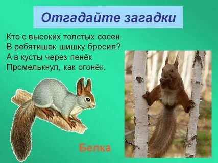 Отгадай загадку идет