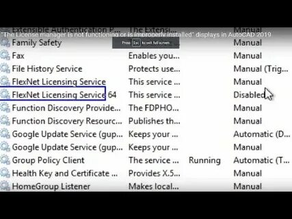 Flexnet licensing service что это