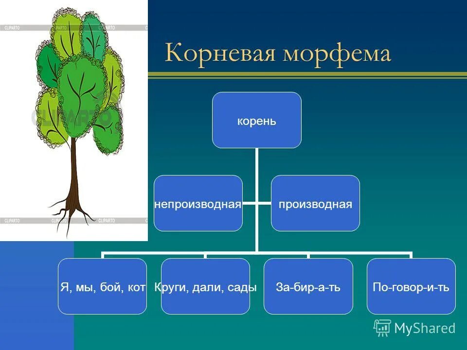 Морфема после корня. Корневые морфемы. Признаки корневой морфемы. Корневые морфемы в русском языке. Корень как морфема.