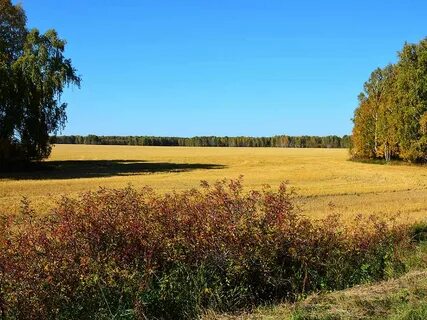 Зауралье