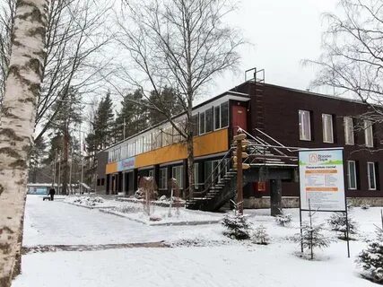 Лосево парк отдыха