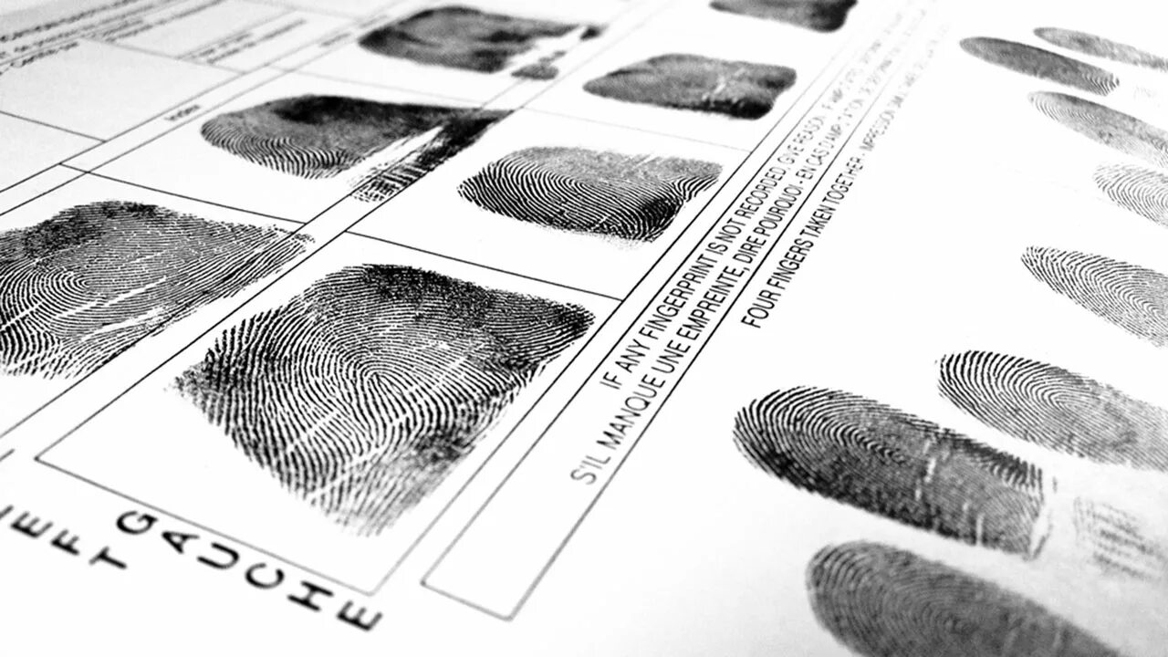 интересные факты о руках. отпечатки пальцев профессия. биометрия пальца. отпечатки пальцев улики. судебная дактилоскопическая экспертиза.