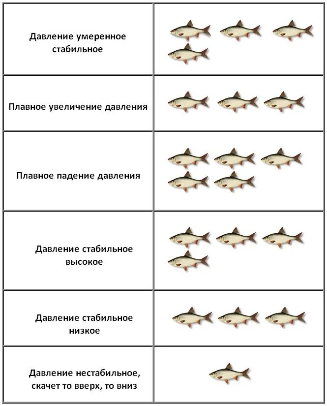 При ветре рыба клюет. Таблица давления ловли рыбы зимой. Зависимость клева рыбы от атмосферного давления. Таблица атмосферного давления для ловли рыбы. Давление для ловли карася таблица.