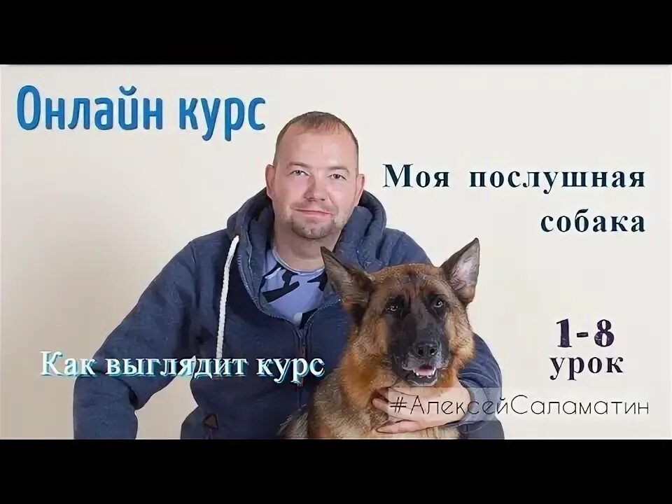 Документы на служебную собаку. Кинолог с корги. Собака кутя аристофоль. Брошенные собаки донбасса. Кинолог с корги.